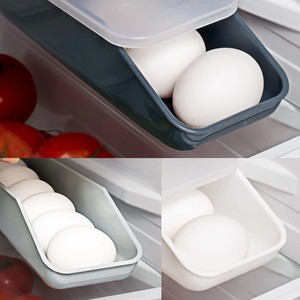  ORGANİZER EGG PLUS YUMURTA DÜZENLEYİCİ (330*90*70 mm.)